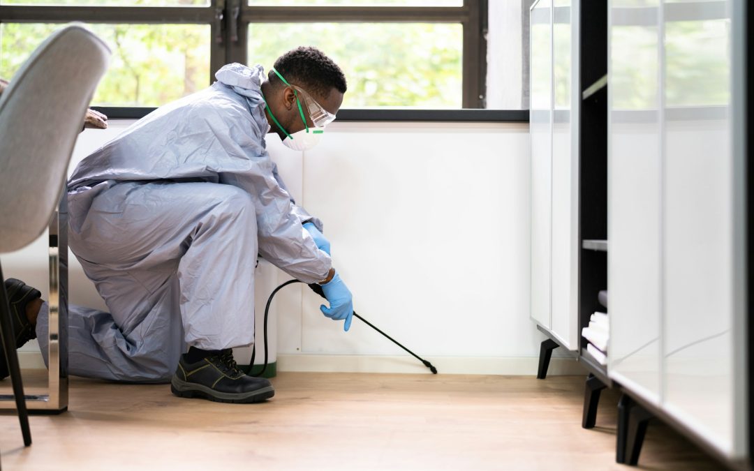 Dealing with Pest Problems in Rental Storage Units