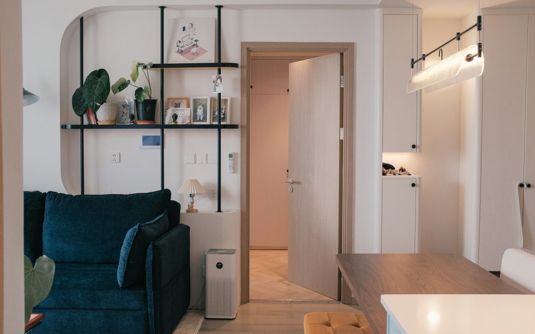 Maximizing Limited Space: Storage Solutions for Apartment Dwellers