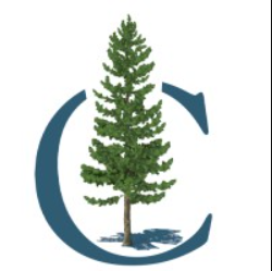 Conroe TX City Logo